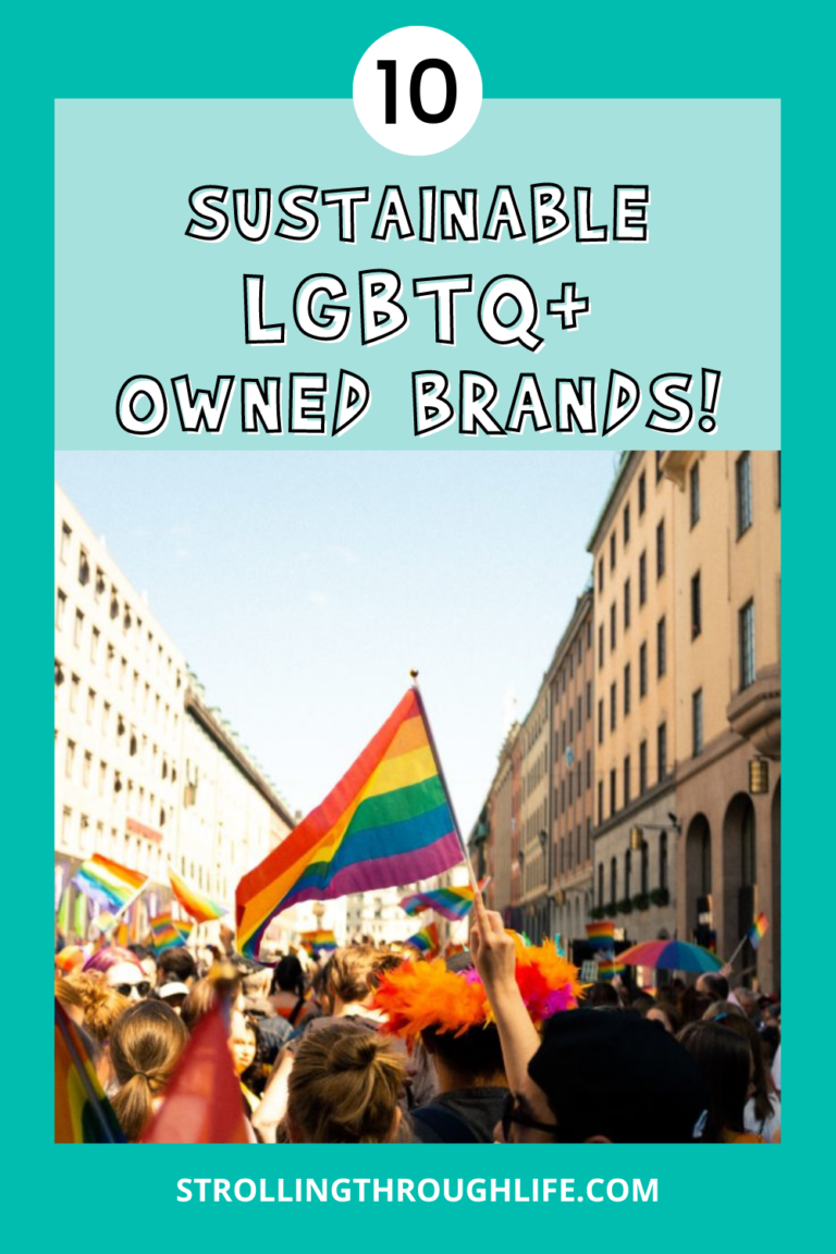 Sustainable LGBTQ+ Owned Brands! - Strollingthroughlife.com